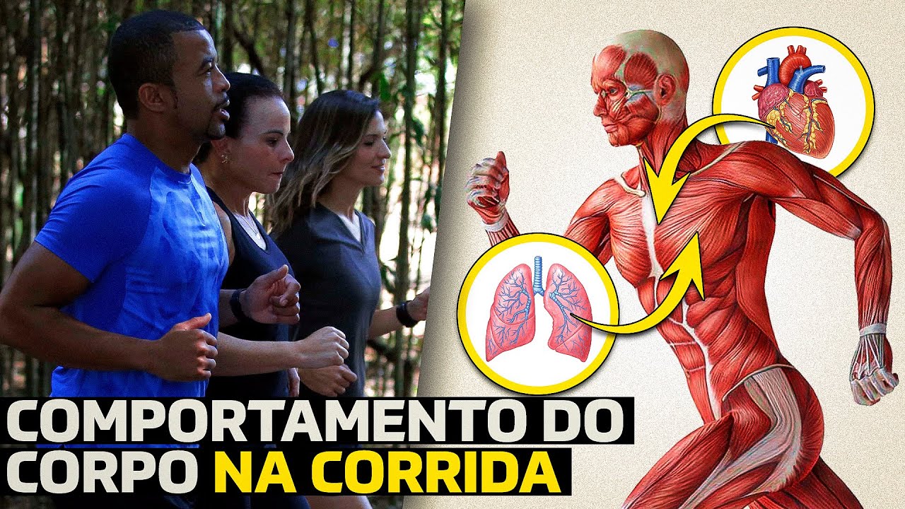 A VERDADE SOBRE COMO O CORPO SE COMPORTA NA CORRIDA