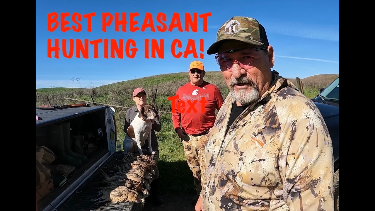 WHAT IT'S LIKE PHEASANT HUNTING AT QUAIL POINT HUNT CLUB IN NORTHERN CA!