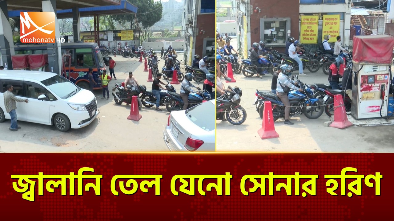জ্বালানি তেল যেনো সোনার হরিণ | Mohona TV