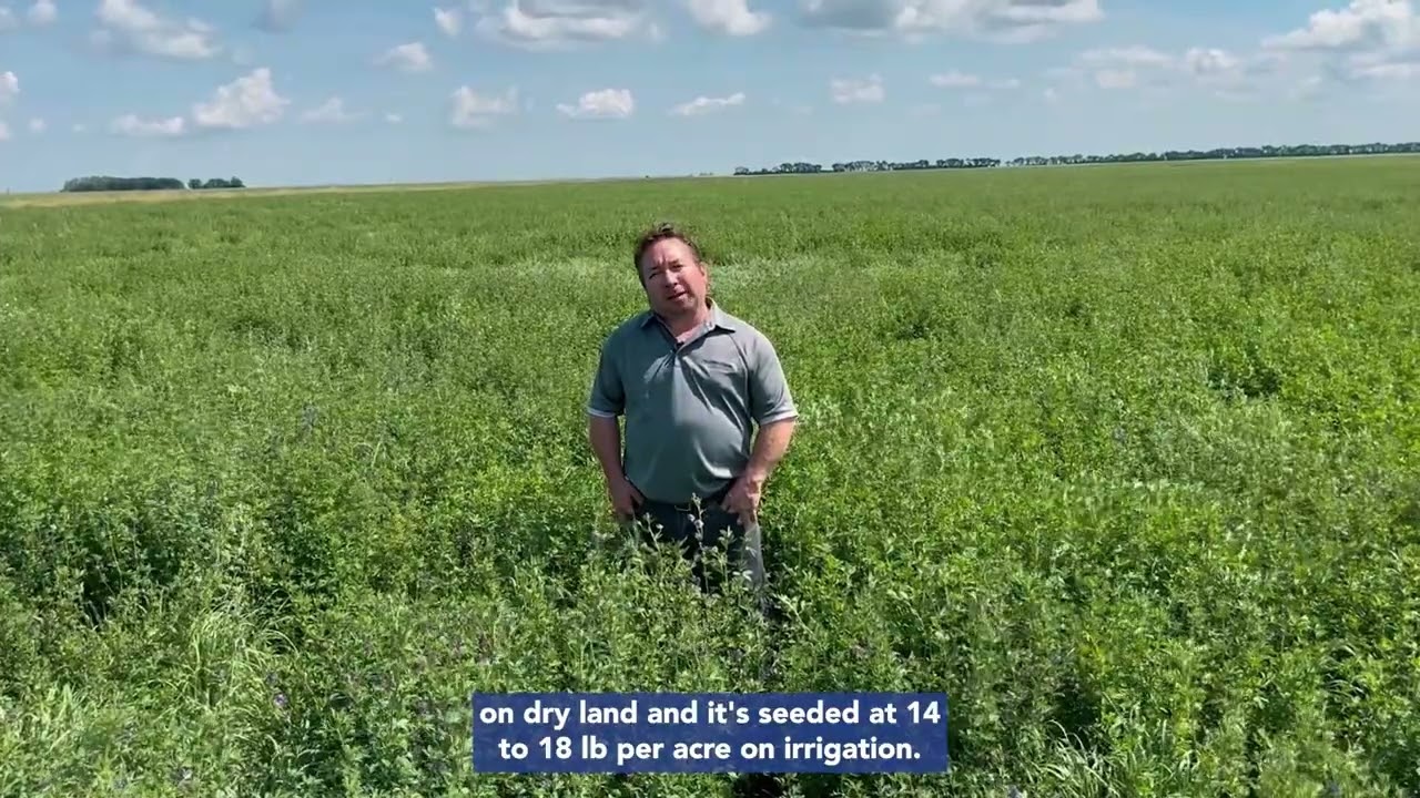 Forage Seeding Rates