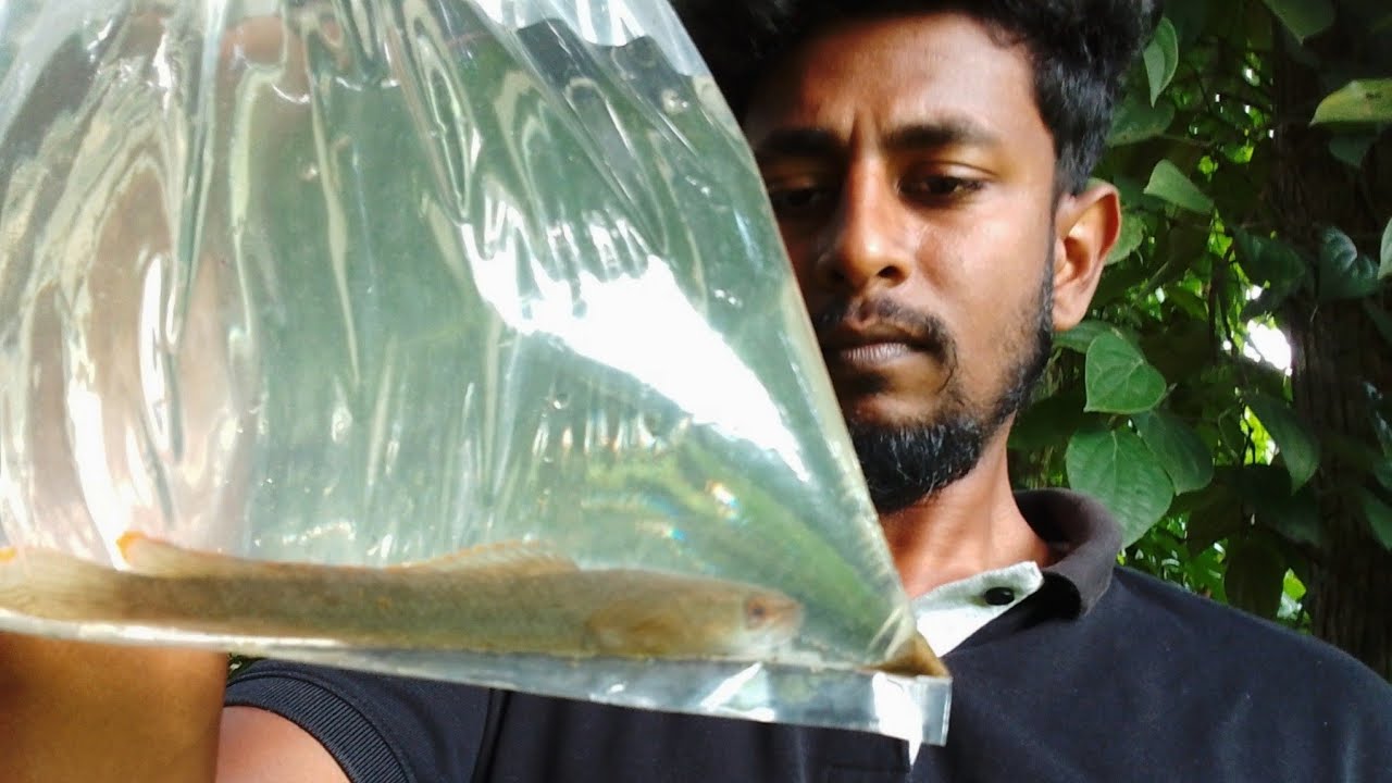 දවස් ගානක මහන්සියෙන් අන්තිමට මාළුවා ඇල්ලුවා.😌Caught a fish after working hard.