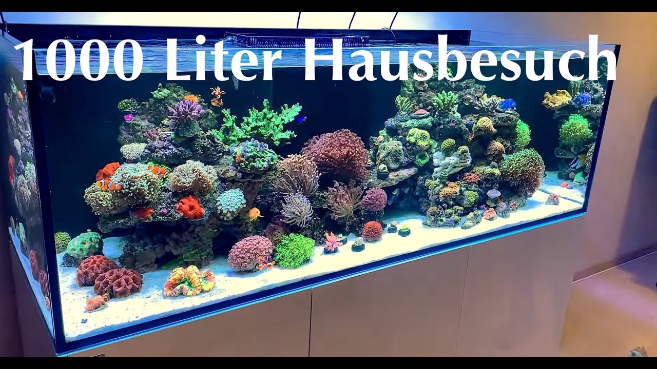 1000 Liter Meerwasser ! Aquaforest Ocean Guard System Aquarium