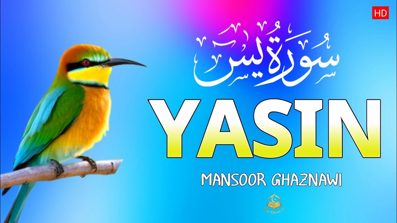 Surah Al Yasin ( سوره يس)  Beautiful quran recitation | Sleep & peaceful | Mansoor Ghaznawi |