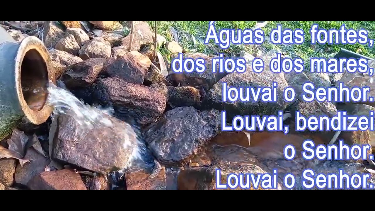 Águas das fontes, dos rios e dos mares, louvai o Senhor. /  A. Cartageno