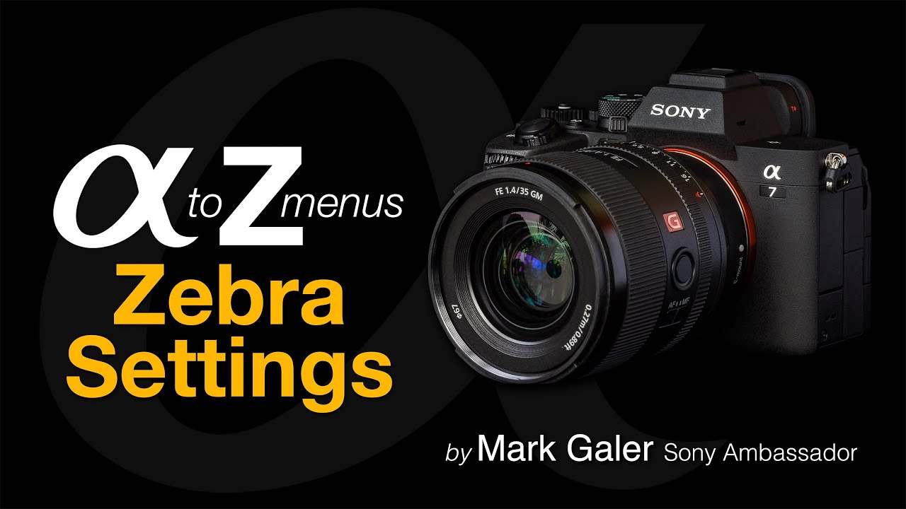 Sony Alpha Menus A to Z: Zebra Settings