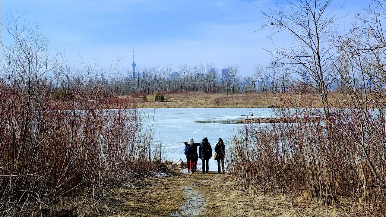 Spring  Birding [3] @ TTP