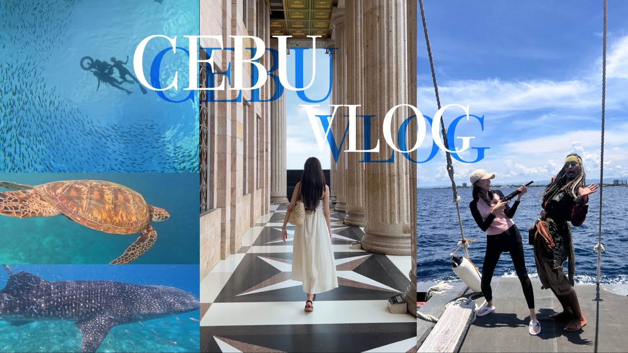 [VLOG] 🇵🇭세부 브이로그ㅣ4박6일 세부여행ㅣ8월 세부여행ㅣCEBUㅣ오슬롭ㅣ고래상어ㅣ모알보알ㅣ정어리떼ㅣ세부해적호핑ㅣ사파리투어ㅣ시티투어ㅣ8월세부날씨ㅣ산토니뇨성당ㅣ호핑투어ㅣ세부호핑