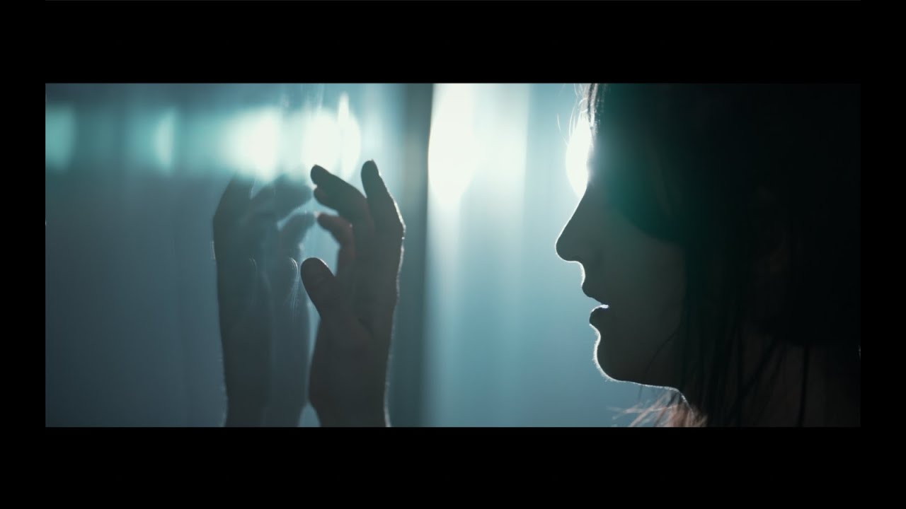 Alerce - Camino a la (Des)Ilusi&oacute;n - Single