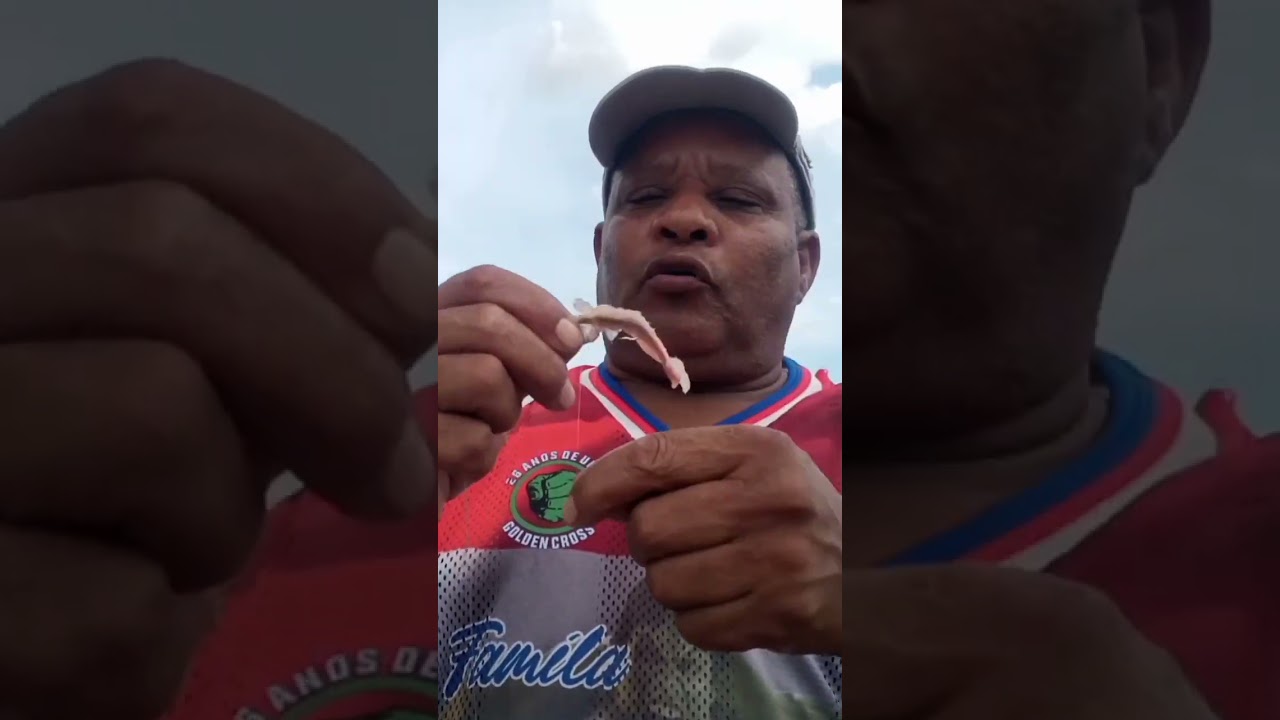 E A ISCA QUE MAIS PEGA PEIXE SARDINHA BOCA TORTA