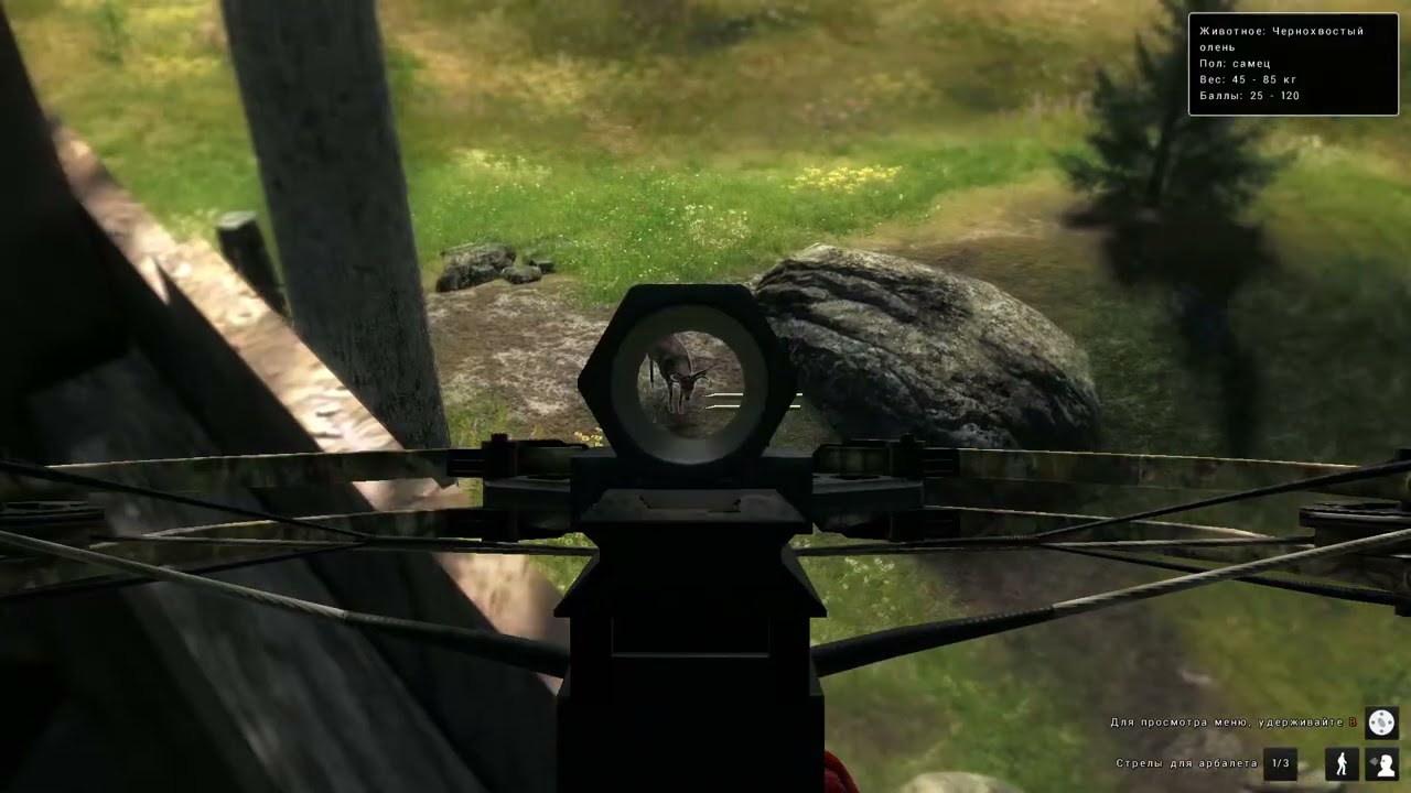 theHunter Classic   2026 03 03