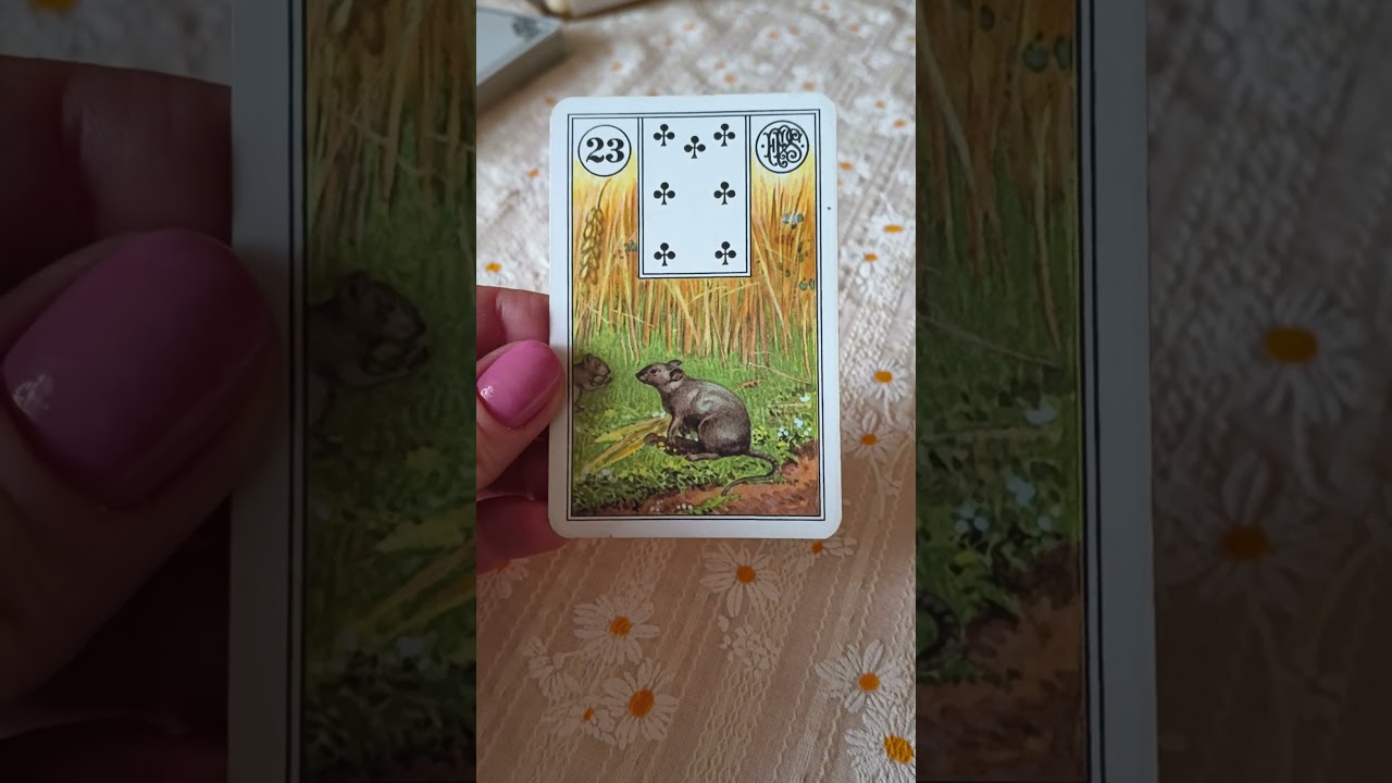 Karta dnia lenormand 30 marzec 2026 #lenatarot #tarot wszystkie znaki horoskop