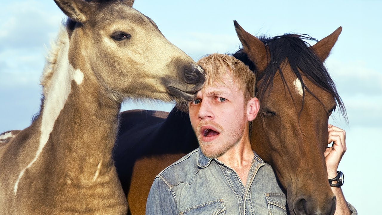 Milan speelt Paarden Simulator