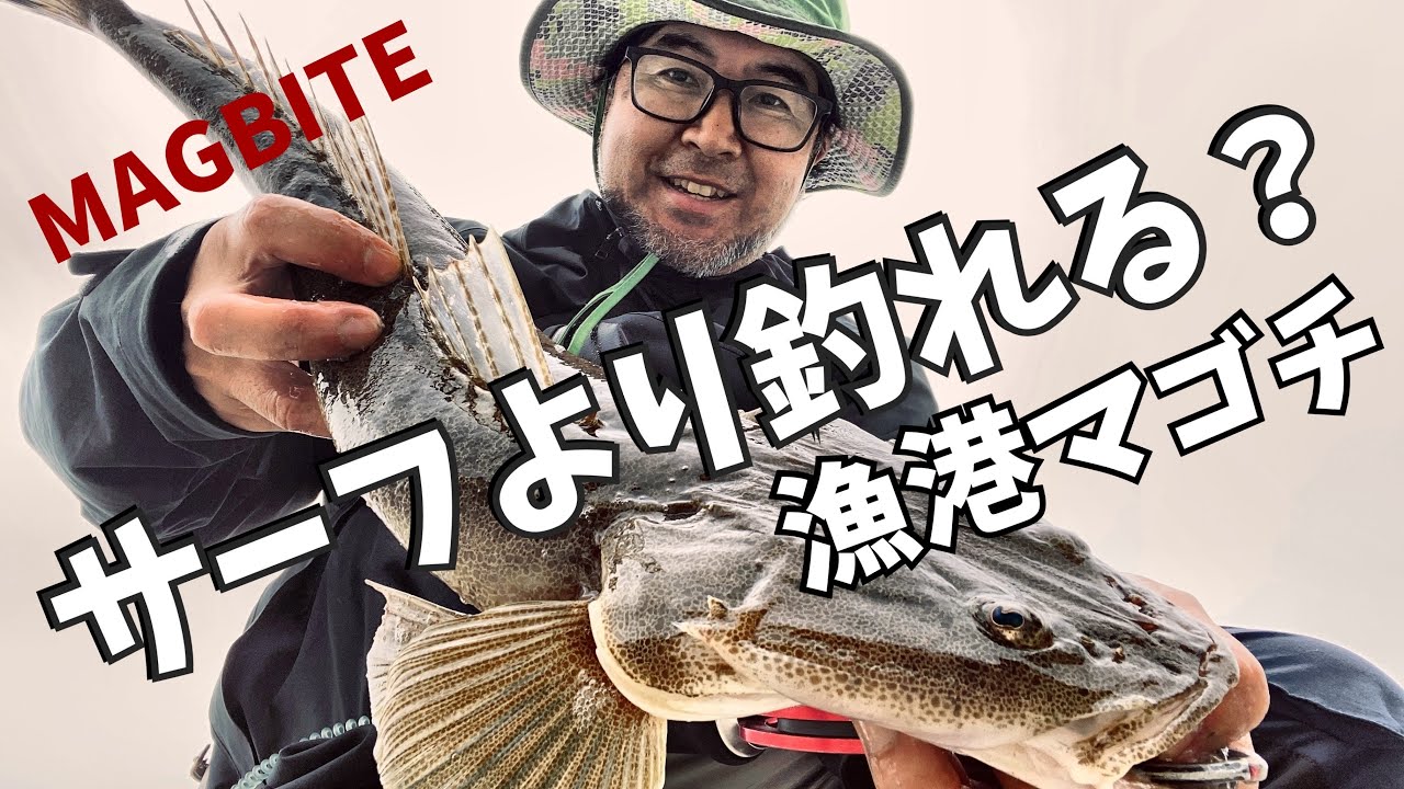 サーフより釣れる⁈ 漁港マゴチゲーム
