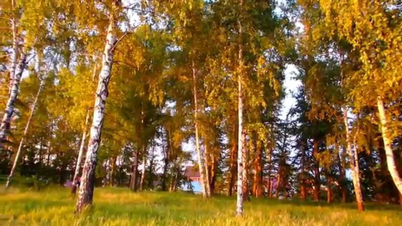 Исаак Шварц. Музыка из фильма 