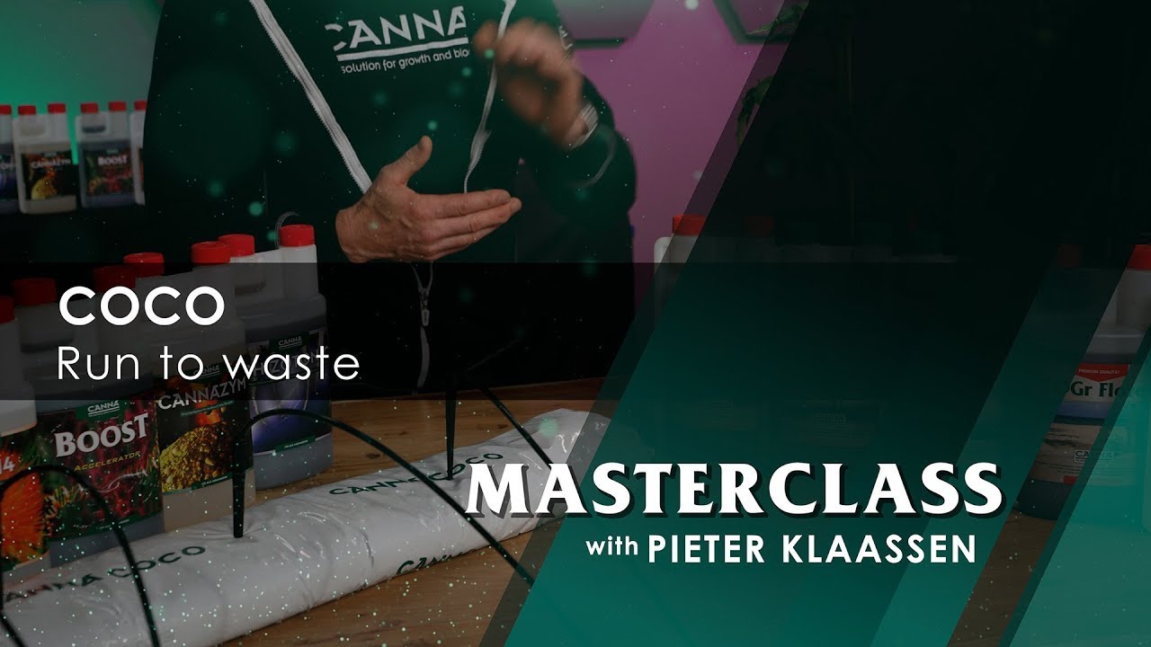 Masterclass &ndash; COCO for RtW