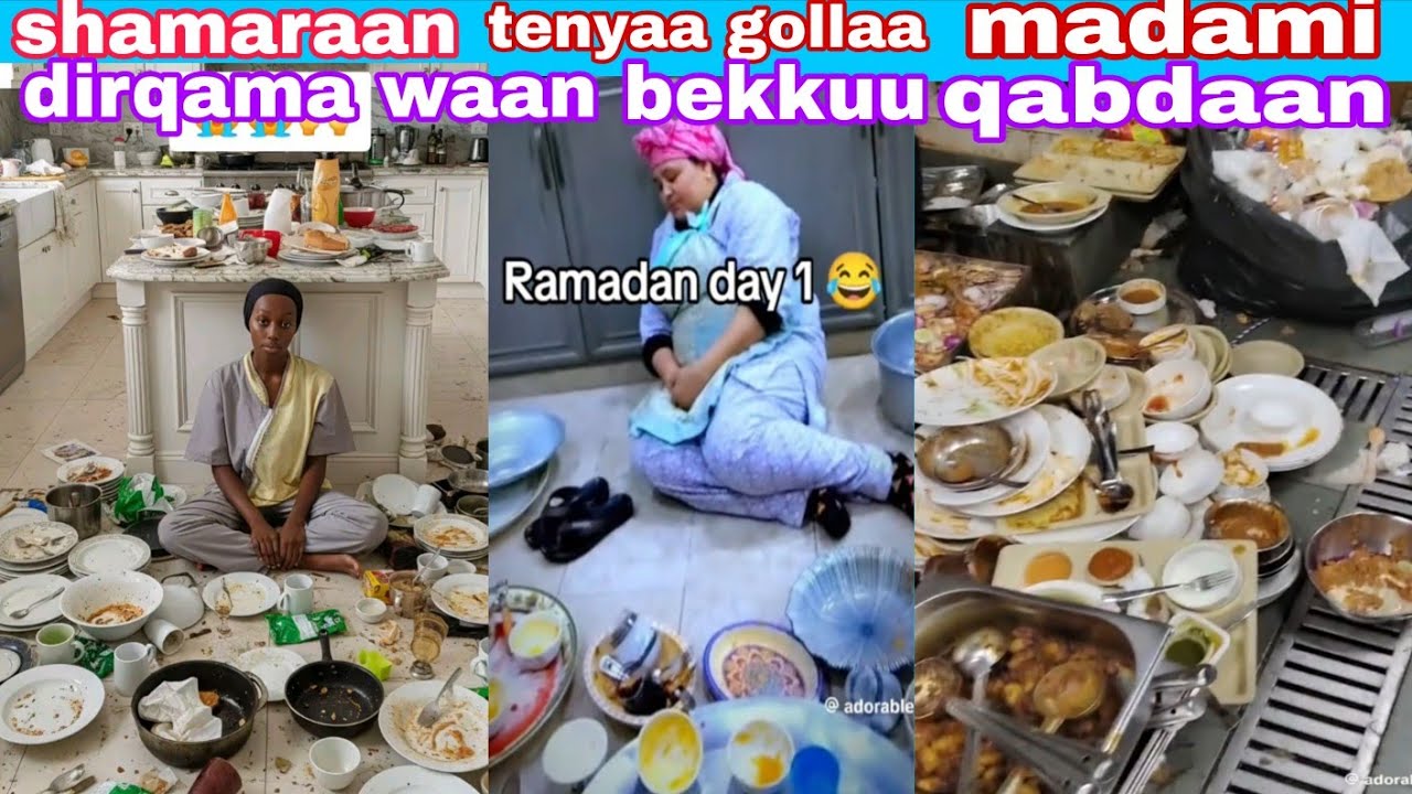#shamaraan tenyaa gollaa madamii waan dirqamaa bekuu qabdaan adaraa ofi eggaa