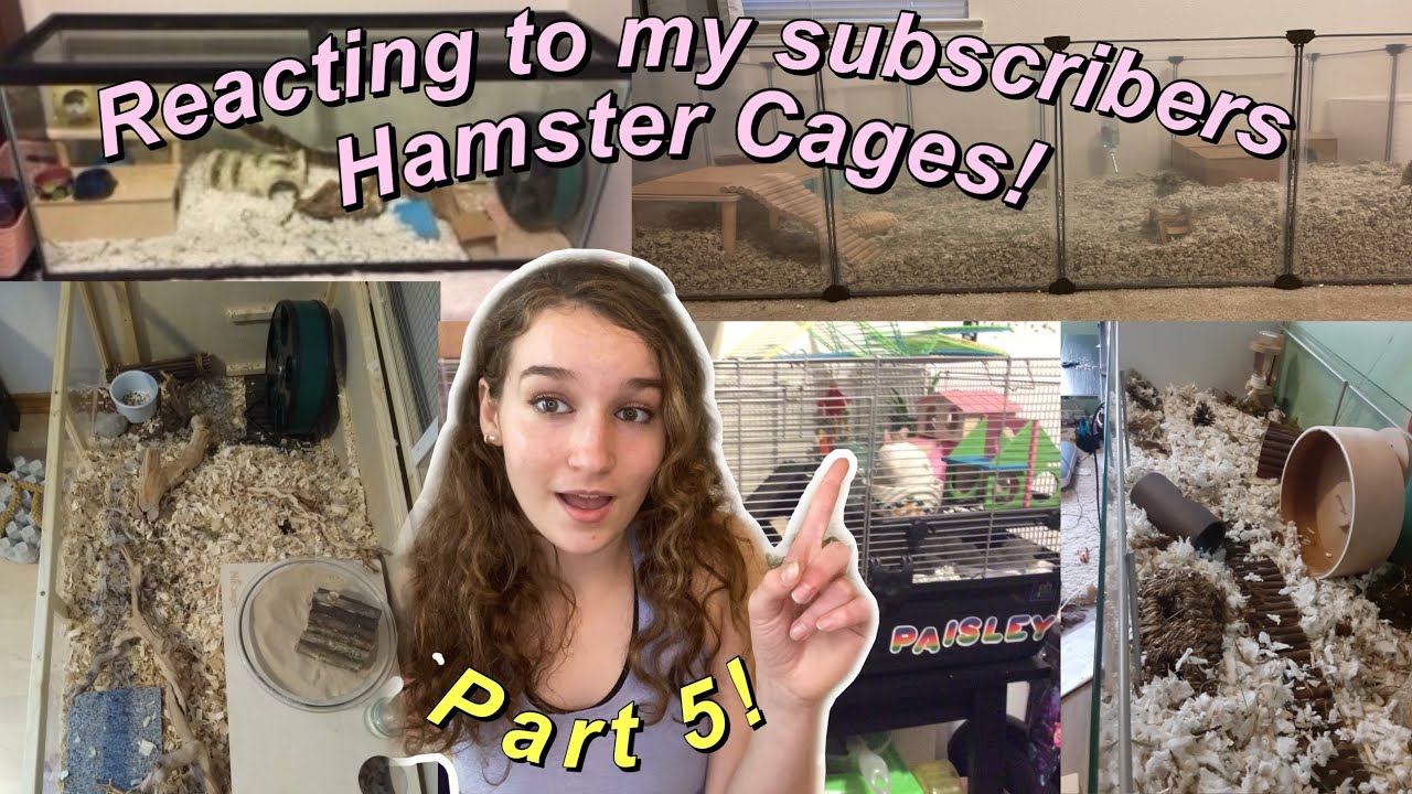 Reacting to my Subscribers Hamster Cages Part 5!