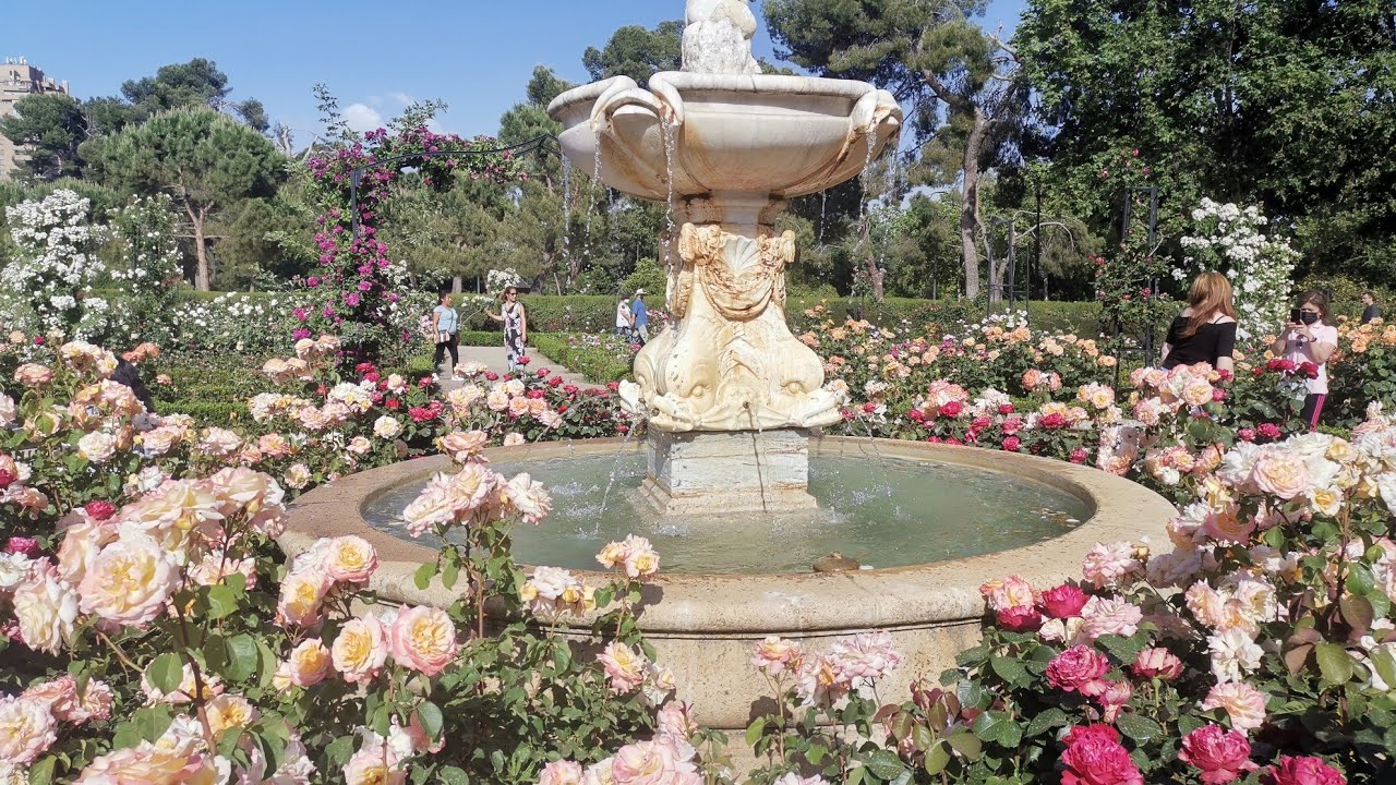 LA ROSALEDA ll PARQUE DEL RETIRO MADRID