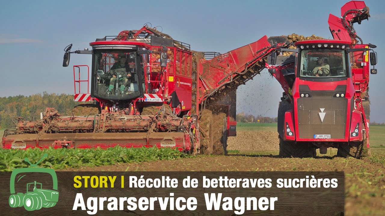 Récolte de betteraves sucrières | Holmer Terra Dos 5 avec le HR 12 | Visite de l’usine