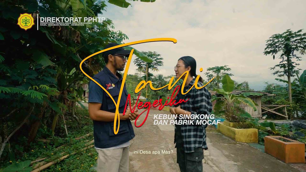 PABRIK MOCAF & KEBUN SINGKONG EPS #1