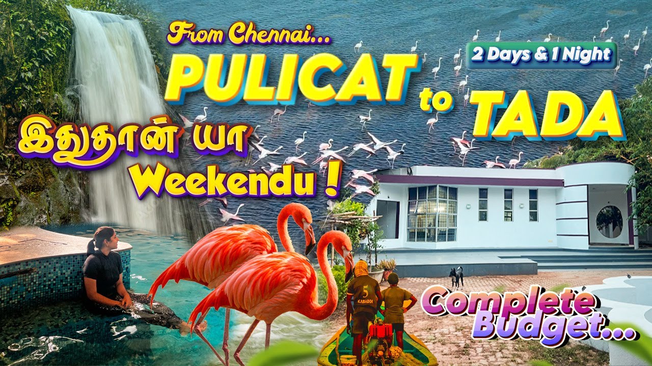 Chennaiக்கு பக்கத்துல ஒரு தரமான Farmstay🔥 | Tada Falls, Pulicat Lake | Groupஆ போக Semma Plan 😍