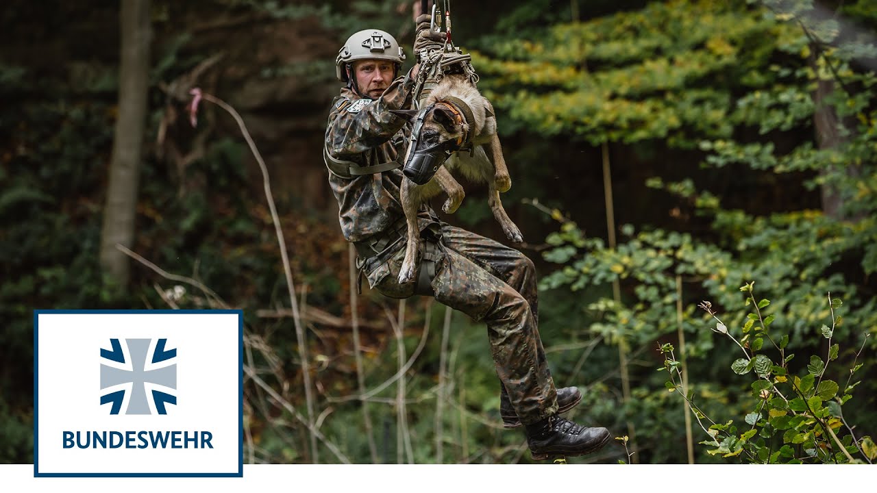Diensthunde schockt nichts! Ausbildung bei den Feldj&auml;gern | Bundeswehr