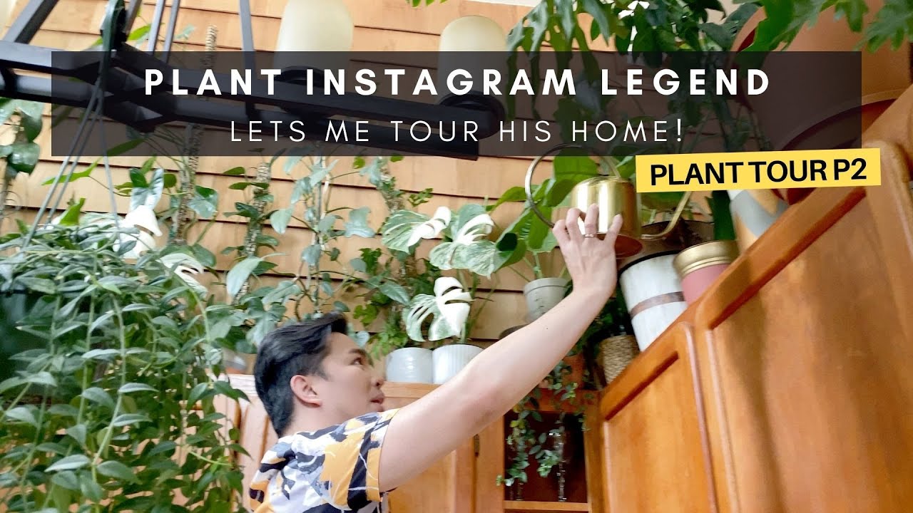 P5. Home Tour of Plant Instagram Influencer | Indoor Houseplants | Planstagram Series