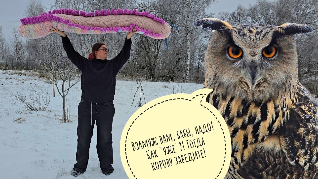 Всё вокруг покрылось корочкой льда, сова Ёль тоже! Аня тягает по сторонам плюшевую ужасеницу!