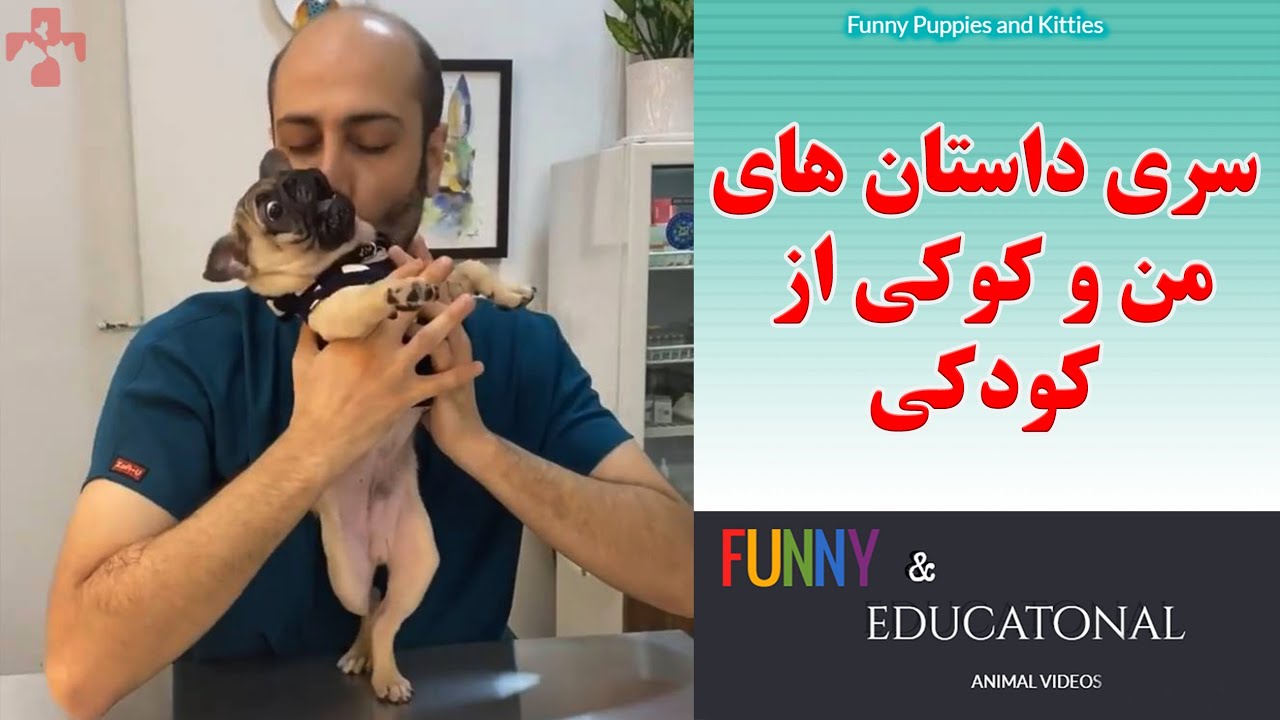 داستان های من و کوکی (این ویدیو خیلی پیشنهاد میشه)