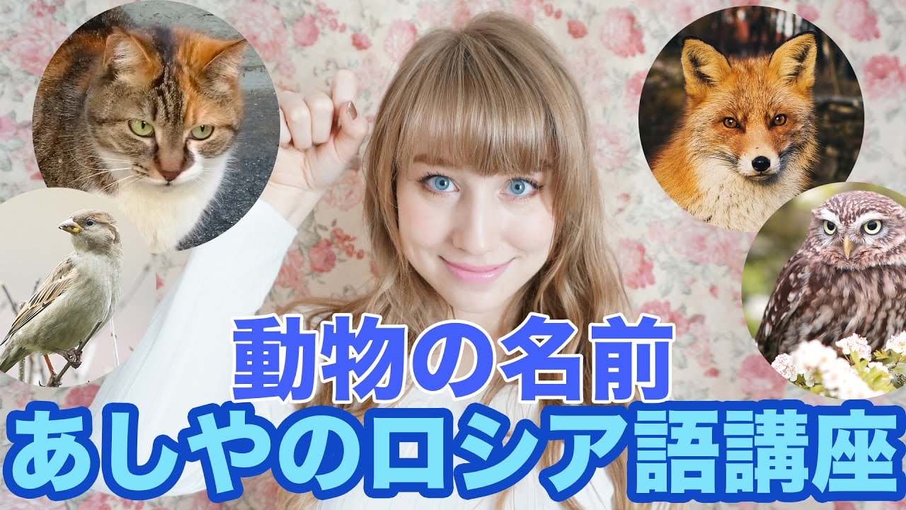 ダジャレで覚えるロシア語！動物の名前【あしやのロシア語講座】