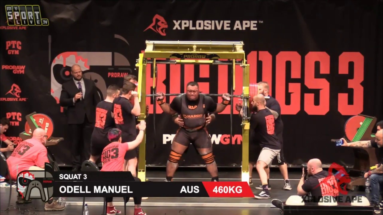 BIG DOGS 3 2018 Squat Pro Raw ПРИСЕД