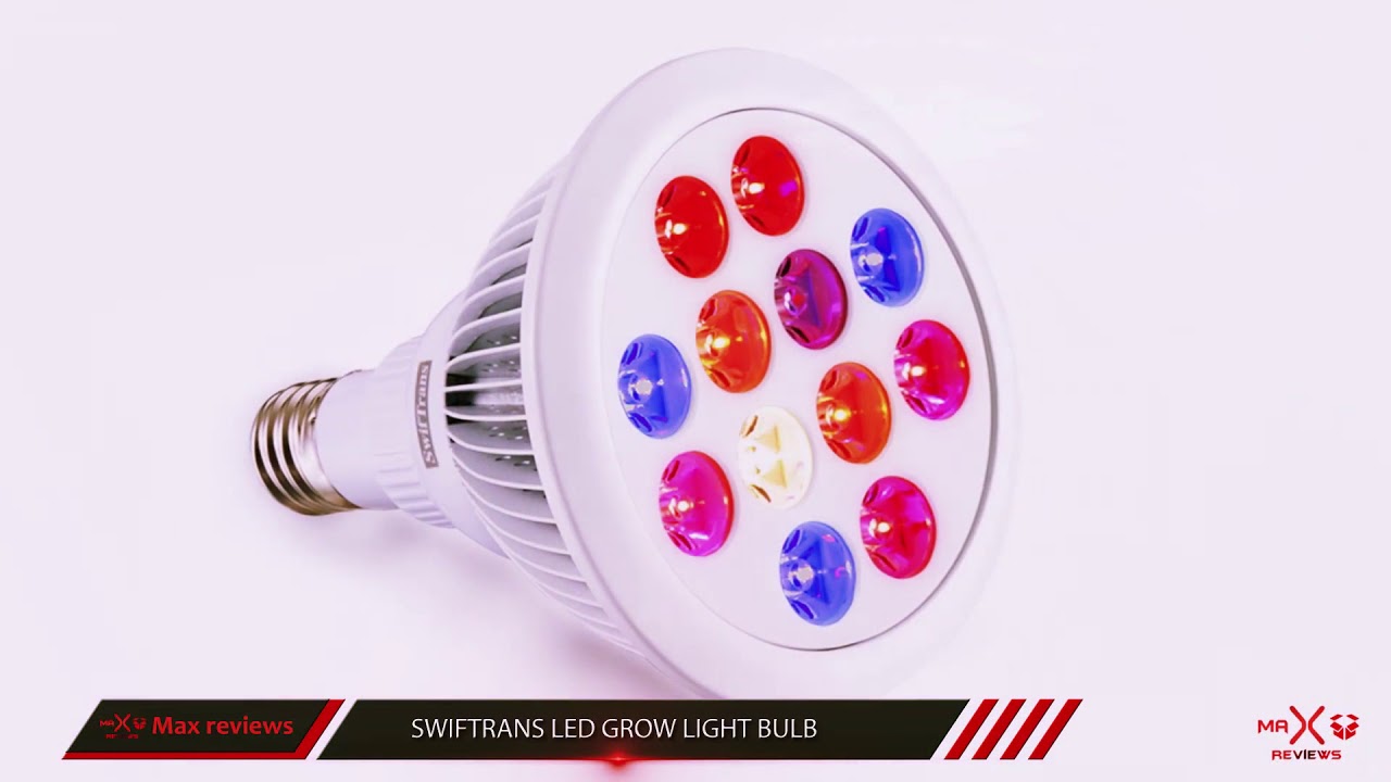 Best Led Grow Light 2018? Best Led Grow Light For The Money