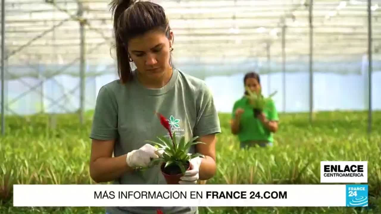 Costa Rica, un ejemplo de agricultura en la región