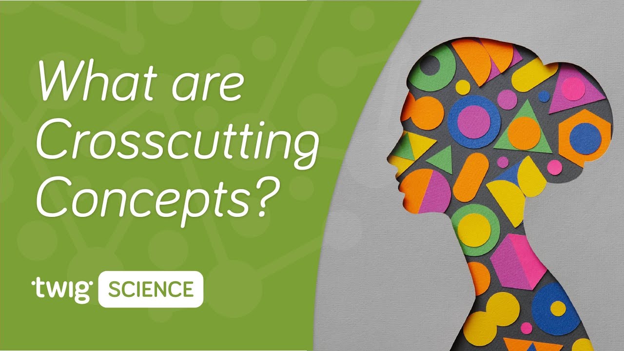 What are Crosscutting Concepts? | Twig Science