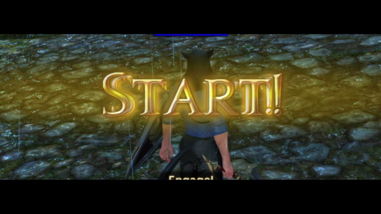 FFXIV Plogin Overview | Combat QOL