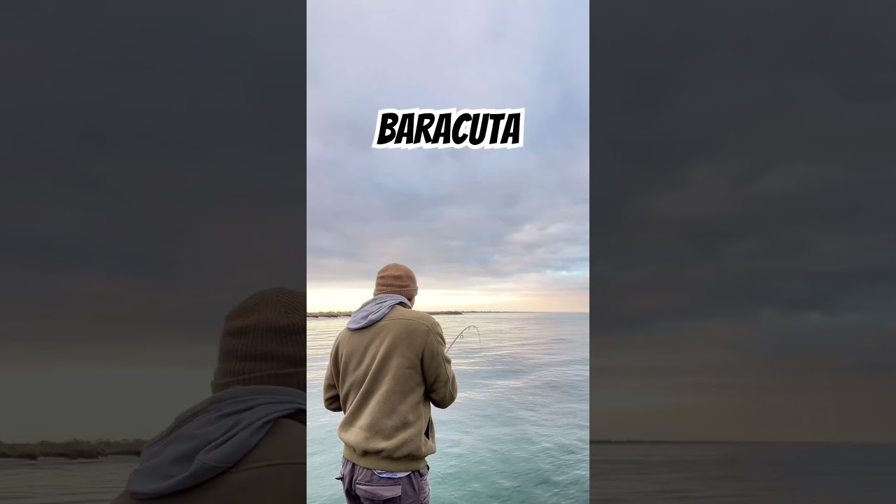 BARACUTA #pinoyofw #fishingaustralia#pinoyfishing #fishing #baracuda #buhayaustralia #kingstonjetty