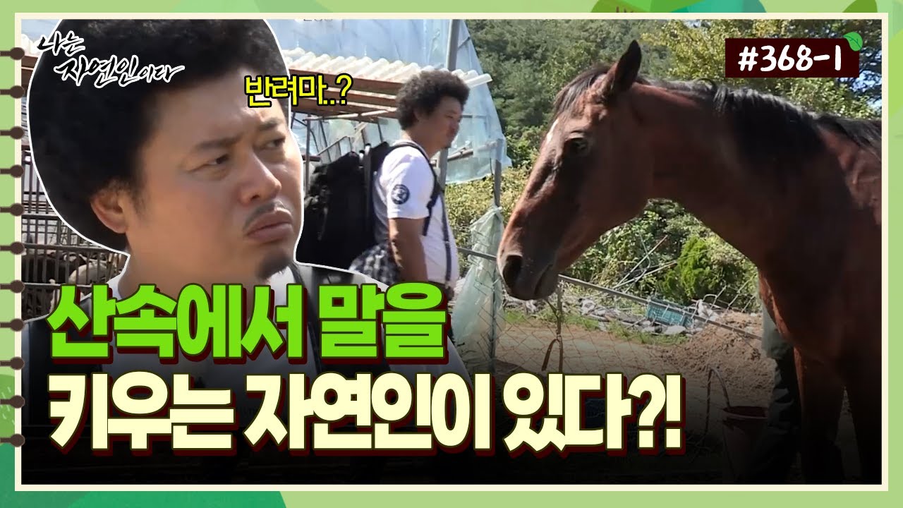 [자연인] 368-1 산속에서 말을 키우는 자연인이 있다?!
