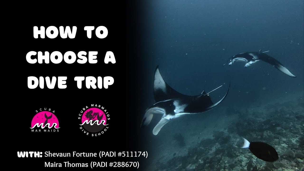 How to Choose a Dive Trip