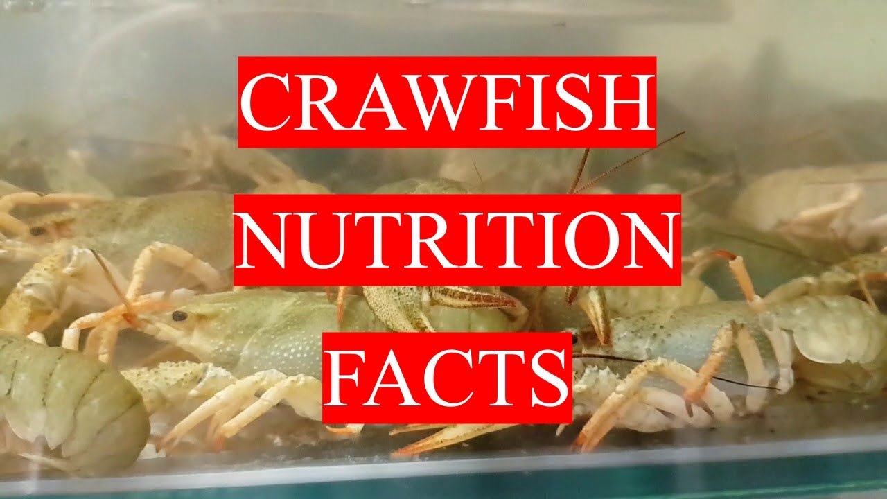 CRAWFISH  - HEALTH BENEFITS AND NUTRITION FACTS