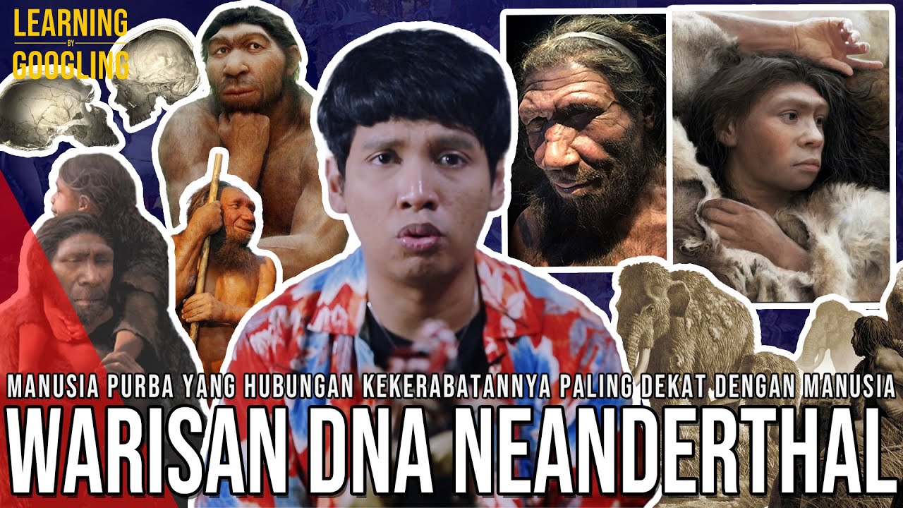 Manusia Purba Yang DNA-nya Ada Di Manusia Modern! Sempat Kawin Silang? Neanderthal |LearningGoogling