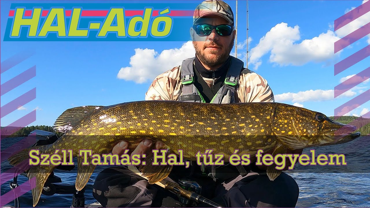 Sz&eacute;ll Tam&aacute;s: Hal, tűz &eacute;s fegyelem &ndash; horg&aacute;szat a konyh&aacute;n innen &eacute;s t&uacute;l  #Sz&eacute;llTam&aacute;s  #Horg&aacute;szat