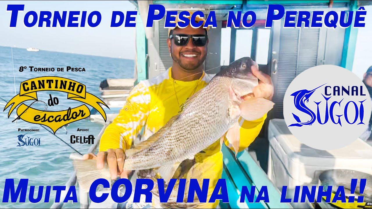 Torneio de Pesca no Perequê. Muita corvina na linha!!