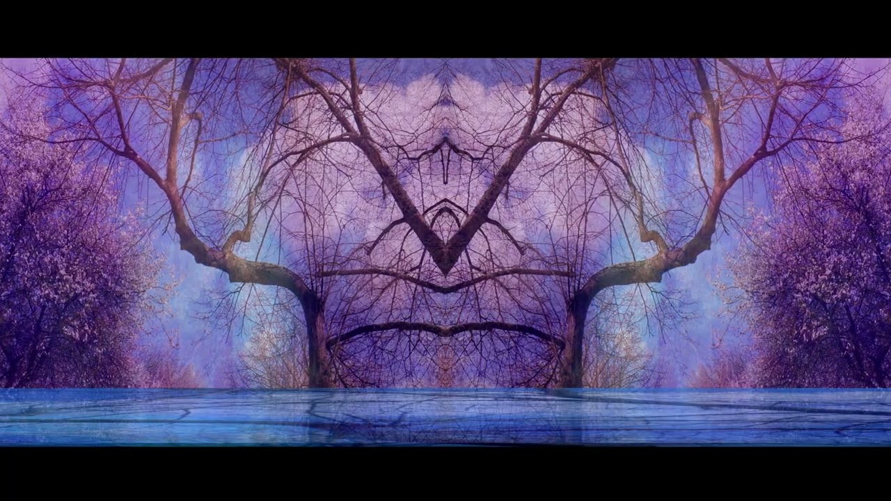 DREAM FOREST  2000