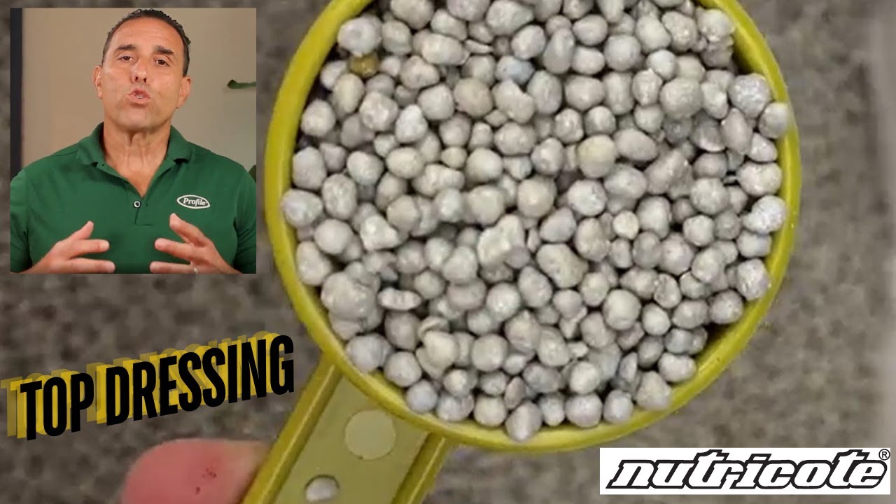 Controlled Release Fertilizers - Top Dressing