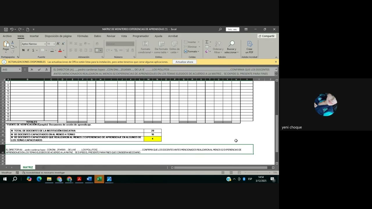 video sesion de aprendizaje y CONSOLIDADO MATRIZ EXCELL