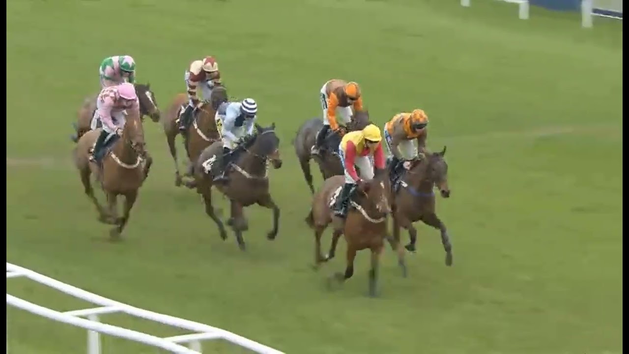 RACE NO -02  Plumpton 23 Feb 2026