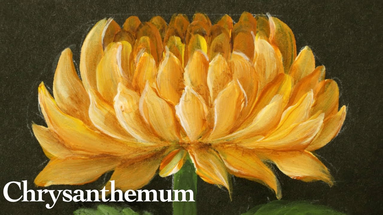 Chrysanthemum acrylic painting for beginners| One stroke | Orange