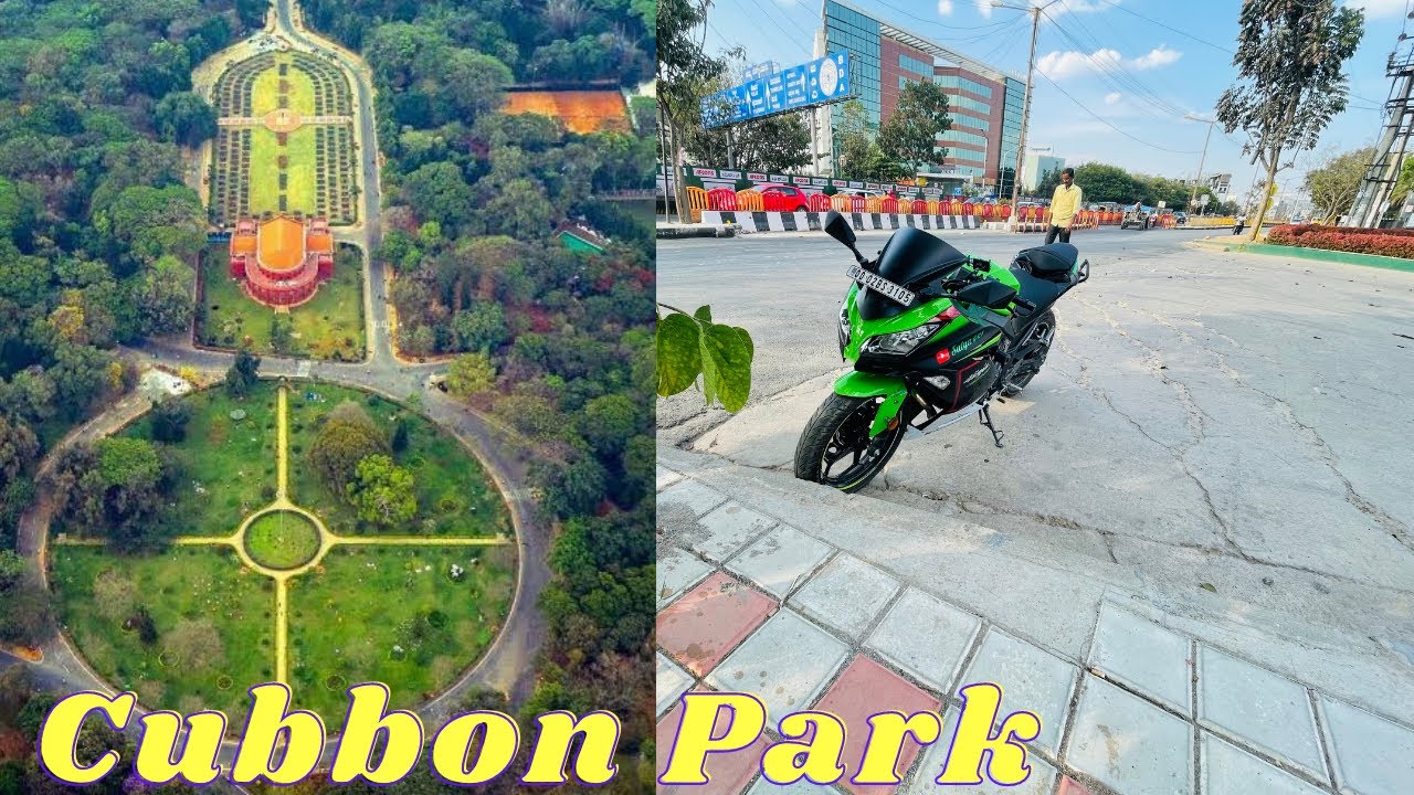 Cubbon park | cinematic #cubbonpark  #satyacrt , #Satvacart