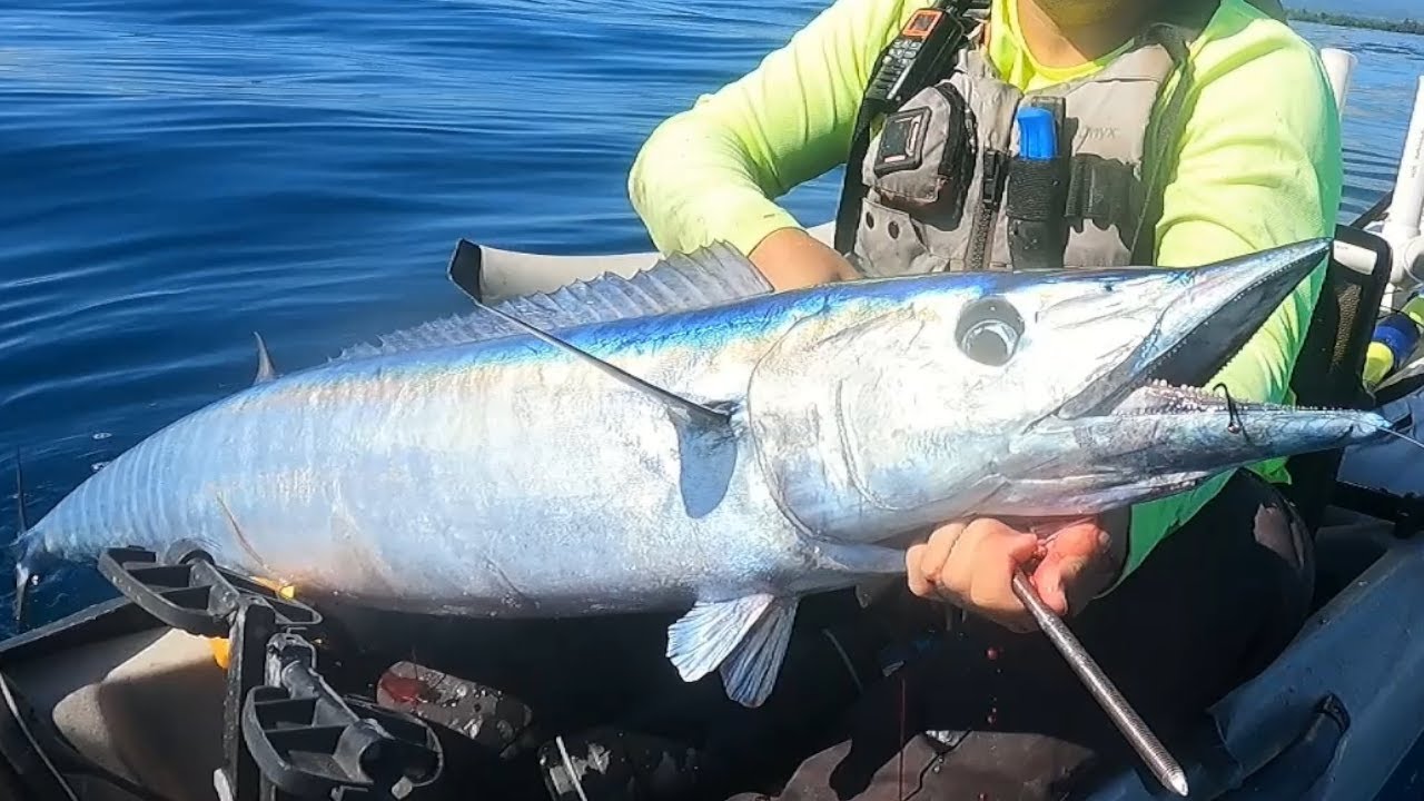 Hawaii Kayak Fishing: Yellowfins and Wahoo on the Flatline