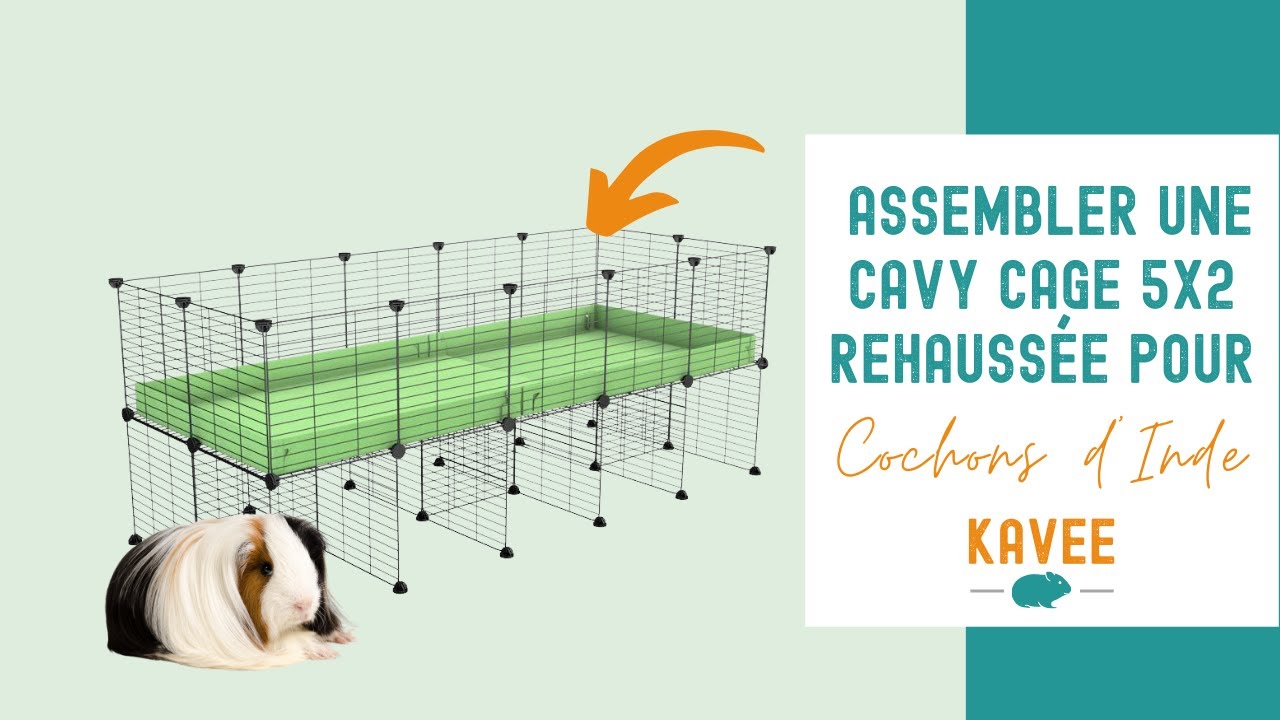 [FR] TUTO : Assemblage d'une cavy cage KAVEE 5x2 rehaussée